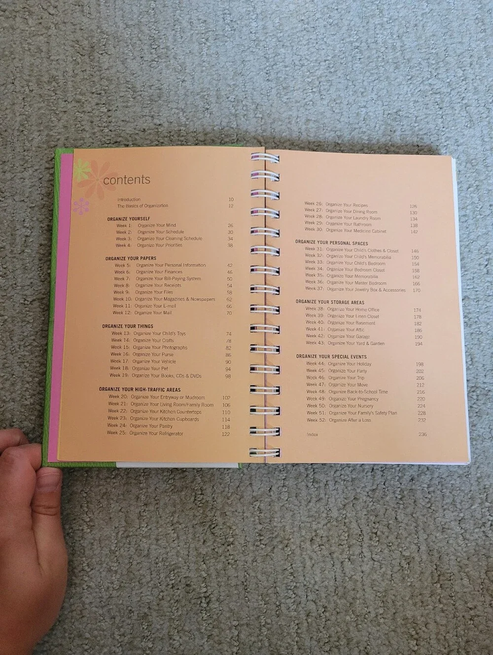 Organize NOW! Home Organization Planner Journal